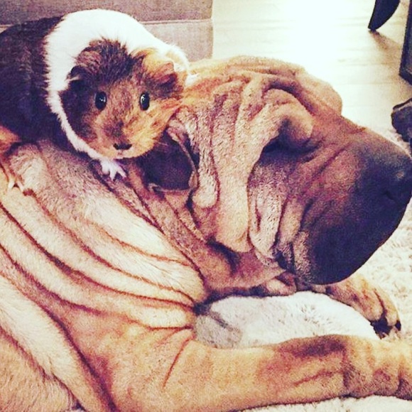 Meet your Posher, Emily - Picture 16 of 16